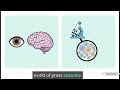 Guide to Gross Anatomy