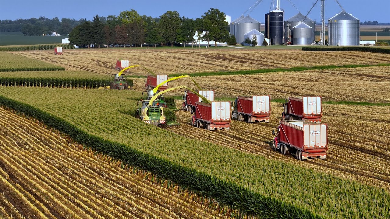 From Field to Feed: The 2024 Corn Silage Marathon at Stone Ridge Dairy