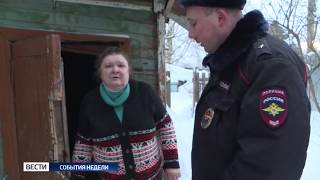 Стаи собак держат в страхе вологжан. Специальный репортаж Стаи собак держат в страхе вологжан. Специальный репортаж
