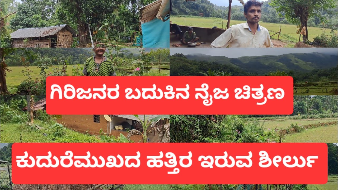 ಕುದುರೆಮುಖದ ಹತ್ತಿರ ಇರುವ ಗಿರಿಜನರ ಹಳ್ಳಿ.ಜನರ ನೈಜ ಬದುಕಿನ ನಡುವೆ.cultural karnataka  tribe people' ಶೀರ್ಲು