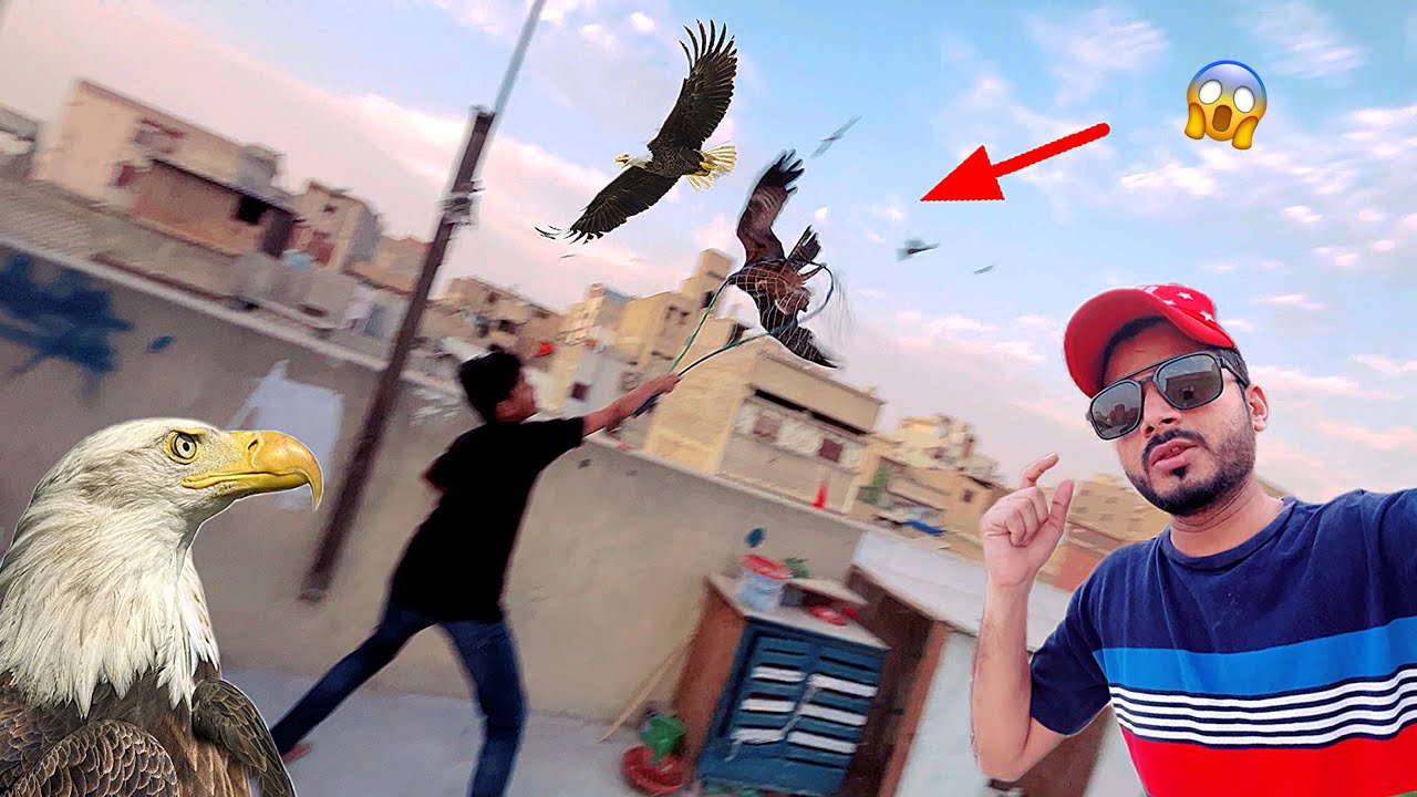 Aaj To Eagle Par Attack Kar Diya 🦅