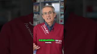 El potencial de la BENFOTIAMINA en el tratamiento de la DEMENCIA #vitaminab1 #demencia #sentosegarra