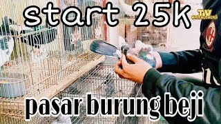 Download lagu GREBEK PASAR BURUNG BEJI TULUNGAGUNG BANYAK MERPATI CAKEP MURAH