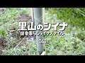 田舎暮らし 040 古民家の庭に仮設倉庫を作る 木造校舎でお花見 古材で薪作り