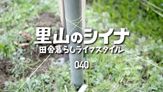 田舎暮らし 040 古民家の庭に仮設倉庫を作る 木造校舎でお花見 古材で薪作り