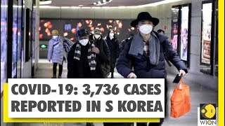 Coronavirus Outbreak: South korea cases pass 3700 | WION Exclusive Report | World News