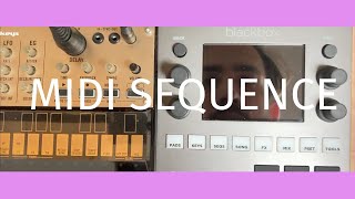 1010music Blackbox Tip: MIDI Sequencing external gear workflow