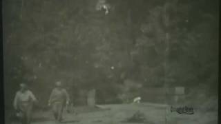 2Nd Infantry Division In World War Ii, Europe, 1944, Combat Film Dvd