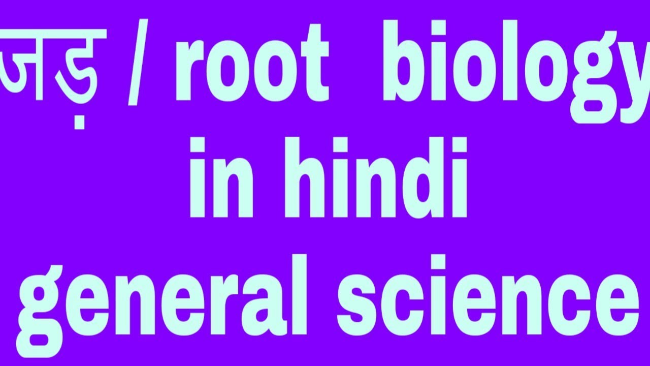 Root Biology Image 1