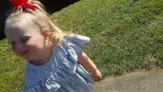 A Day In The Park