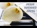 Обзор нотного листа