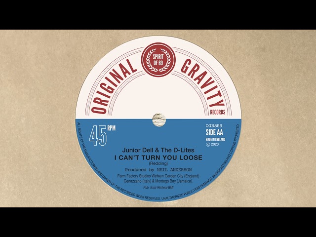 Junior Dell & The D-Lites - I Can't Turn You Loose