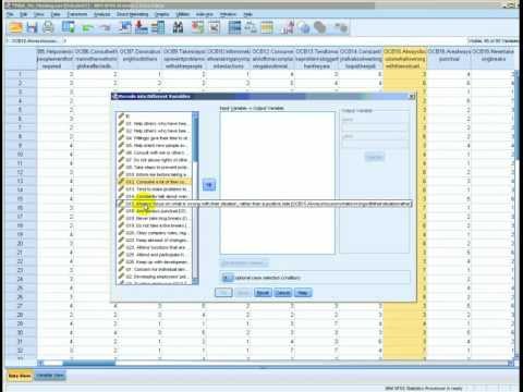 Straight Scoring Reverse Scored Items in SPSS