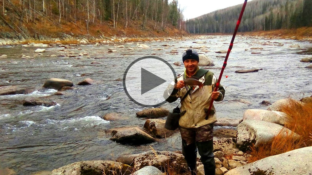 ОСЕННЯЯ РЫБАЛКА НА ГОРНОЙ,ТАЁЖНОЙ РЕКЕ/ЛОВЛЯ КРУПНОГО ХАРИУСА НА ЛЕГКИЙ НАСТРОЙ/1 ЧАСТЬ ФИЛЬМА