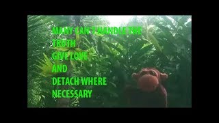 MANY CANT HANDLE THE TRUTH IM NOT A SPACE MONKEY