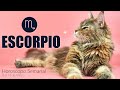 ESCORPIO! ♏️ GIRO INESPERADO EN EL AMOR!! 😵💞🔥 TAROT SEMANAL AMOR Y MAS HOROSCOPO Y TAROT