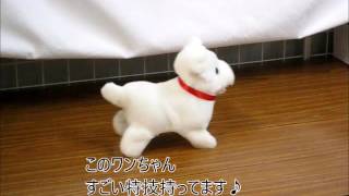 くるりんわんちゃんしろ