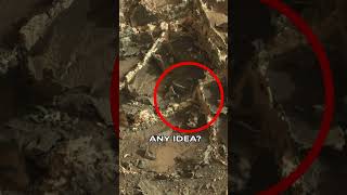 Mars Rover Curiosity Sol 0929 Quicksolutions-Data