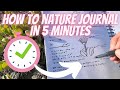 How to Nature Journal in Five Minutes!