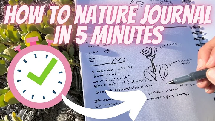 How to Nature Journal in Five Minutes!