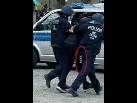 Beobachtung am 21.04.2021 im Berliner Tiergarten