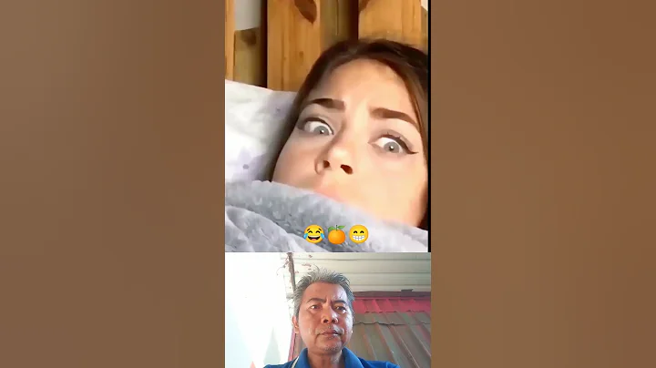 Video 6950491: cat dog funny compilation, animals cutest cats compilation, cats compilation cute dogs, laugh funny cats compilation, cat funny dog awesome