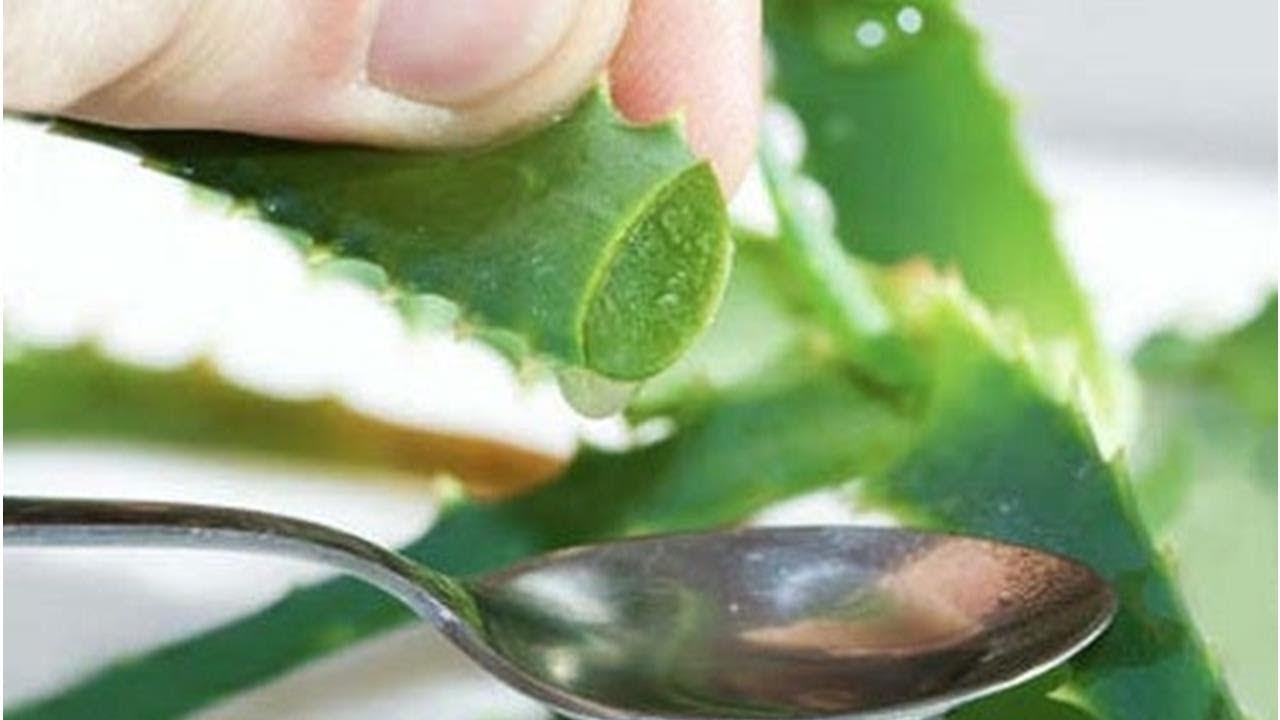 Les 12 meilleurs laxatifs naturels Améliore ta Santé YouTube