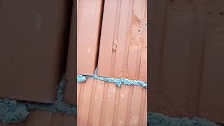 Oprez Nexe Termo Blok Opeka Optim, Loša Kvaliteta Part 1