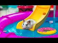 🐹 Hamster Escapes the MEGA AQUAPARK MAZE [OBSTACLE COURSE]