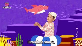 Baby Shark Dance   بيبي شارك بدون موسيقى screenshot 3