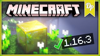 [1.16.3] How To Make Minecraft Look Like THIS! | Vanilla PBR Texture Pack for Minecraft 1.16.3