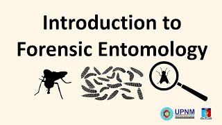 Introduction to Forensic Entomology | Medical Parasitology & Entomology (UPNM)