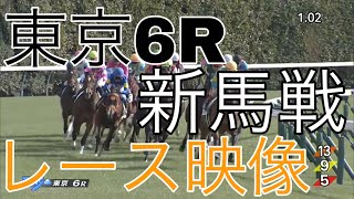 1/29 東京6R新馬戦レース映像