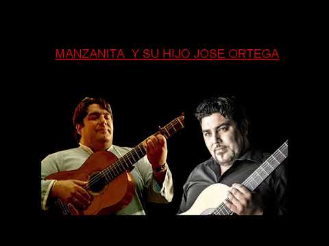 IA MANZANITA Y