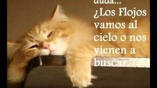 Las fotos mas graciosas para whatsapp y facebook vol 6 screenshot 5