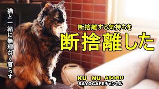 断捨離芸人ページ ひでこの部屋 ゲスト：マシンガンズ滝沢秀一さん》「買うときは