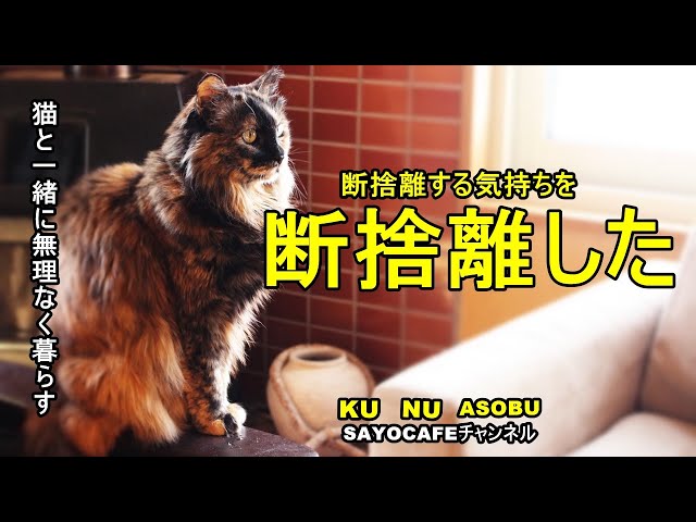 vol.82【60代の暮らし】断捨離する気持ちを断捨離しました（笑