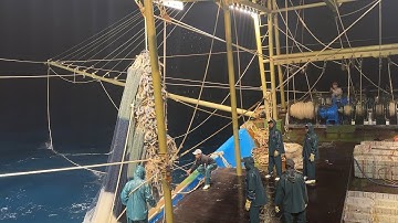 Mành chụp võ thép chú nghĩa quỳnh lưu nghệ an rời bến ra khơi - Dân Biển