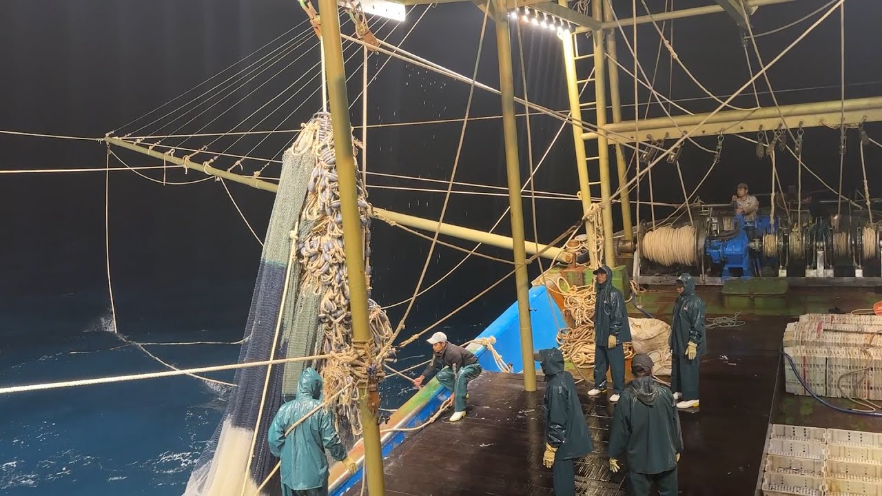 Mành chụp võ thép chú nghĩa quỳnh lưu nghệ an rời bến ra khơi - Dân Biển