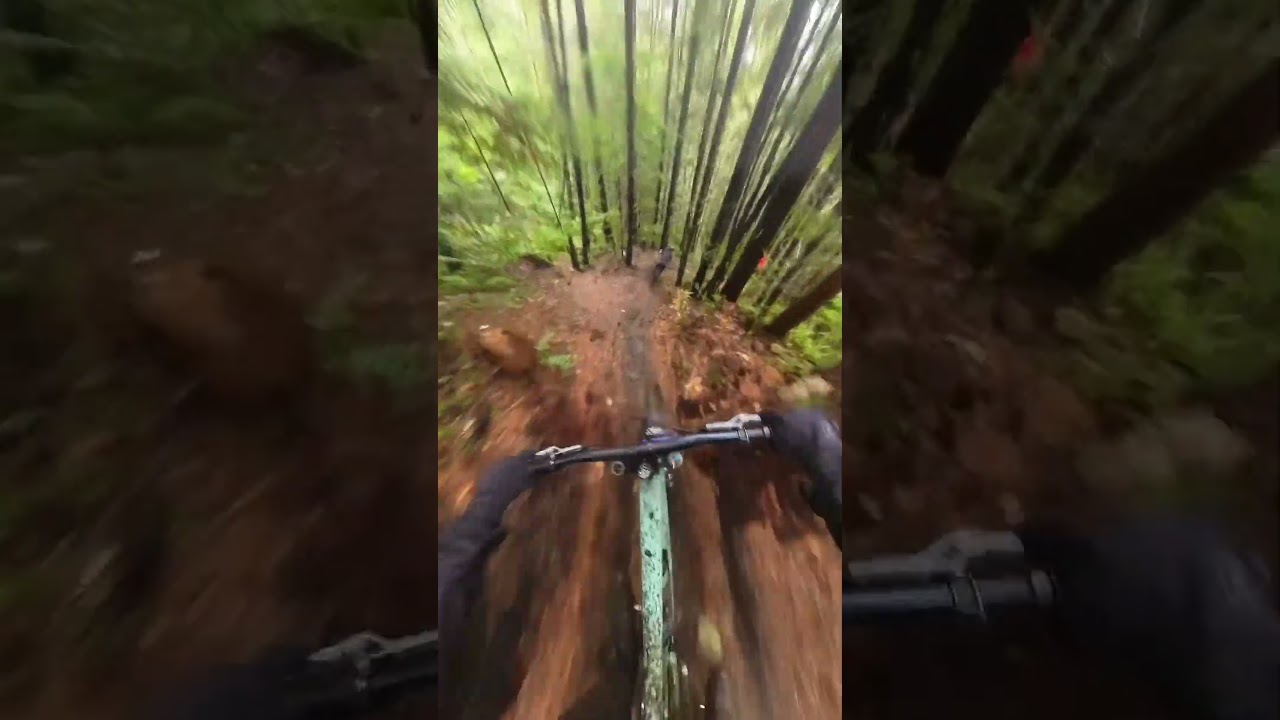 Definitely not a slow trail #downhill #mtb