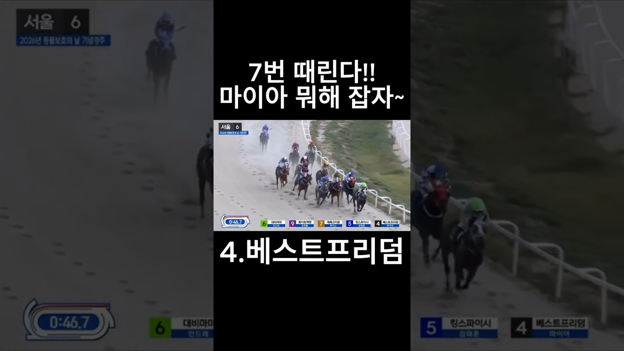 마이아 뭐해  잡자~   #경마  #경마예상  #경마방송  #경마예상방송  #서울경마  #금요경마  #토요경마  #일요경마 #경마장