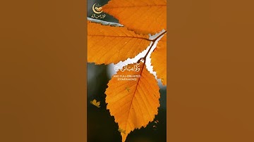 ﴿إِنَّ لِلْمُتَّقِينَ مَفَازًا﴾من سورة النبأ، بصوت القارئ أحمد النفيس #القرآن_الكريم #تلاوة_خاشعة