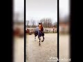 Horse tik tok for all of you equestrians