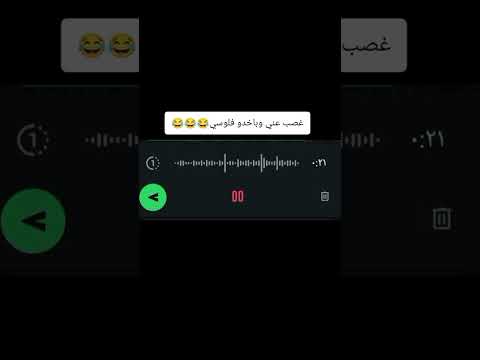 بينكو وبياخدوا تعبي وشقاية