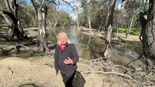 Riverina farmer calls for local knowledge in Murray-Darling Basin decisions Riverina farmer calls for local knowledge in Murray-Darling Basin decisions