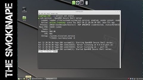 Installing ssh server (openssh) on Linux Mint - TheSmokinApe