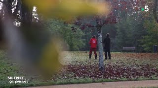 Portrait : Cedric Billod Arboriste Grimpeur - Silence, ça pousse !