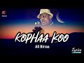 Ali birra kophaa koo na dhiiftee ethiopian oromo music with lyricswalaloo  official 
