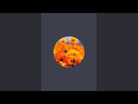 قناة ياسمين ثلاثي صبغي21