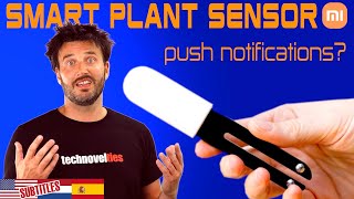 Never Kill Another Plant! Flower Care Sensor & App Review screenshot 4